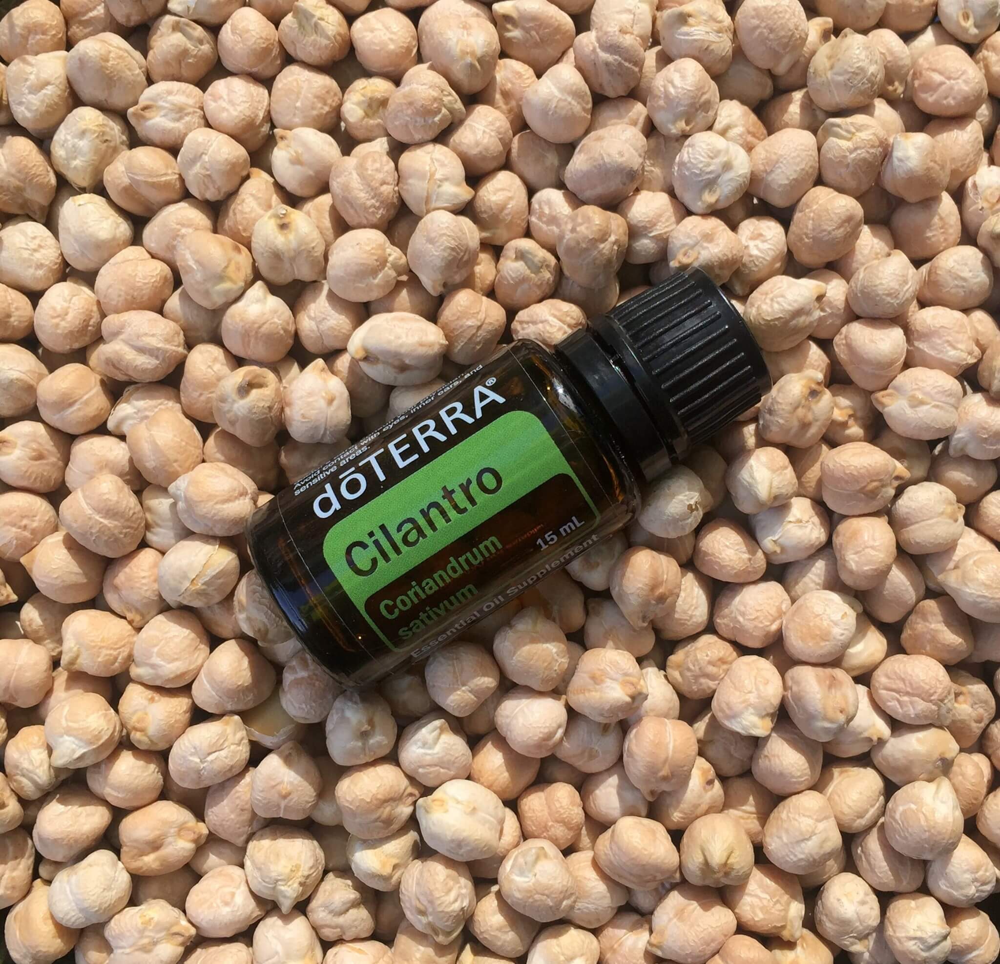 olejki doterra cilantro