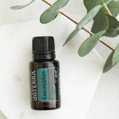 eucaliptus-doterra
